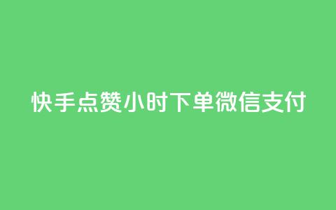 快手点赞24小时下单微信支付,雷神24小时自动下单平台 - 抖音评论业务 1元3000粉丝不掉粉丝  第1张