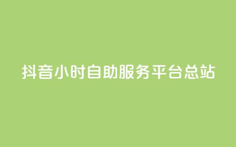 抖音24小时自助服务平台总站 - 抖音全天候自助服务平台一站式解决方案！  第1张