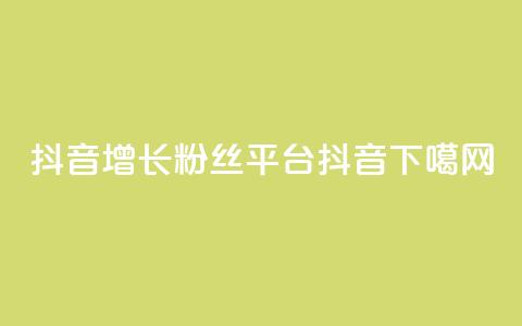 抖音增长粉丝平台 - 抖音16802858  第1张