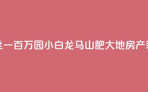 快手粉丝一百万0.01园小白龙马山肥大地房产装修网站,快手粉丝都是老头粉怎么办 - 抖音秒刷最低网站 ds抖音粉  第1张