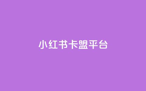 小红书卡盟平台 - 低价qq空间访客  第1张