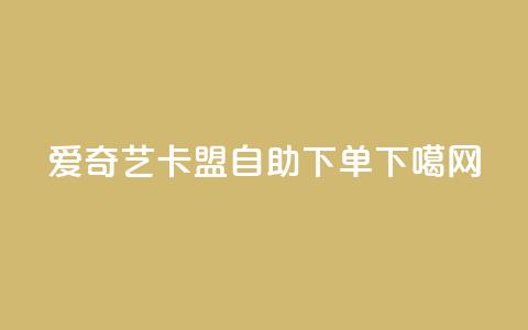 爱奇艺卡盟自助下单  第1张