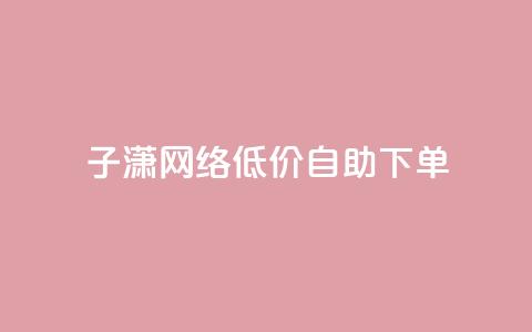 子潇网络低价自助下单 - 高性价比！自助下单经济实惠的子潇网络~  第1张