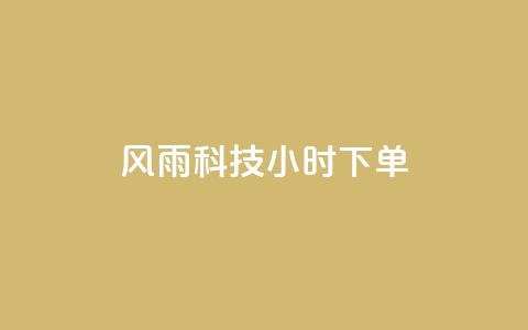 风雨科技24小时下单 - ks下单服务平台  第1张