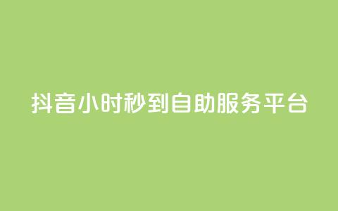 抖音24小时秒到自助服务平台,dy赞在线自助下单网站 - 自助业务商城 ks业务免费领  第1张
