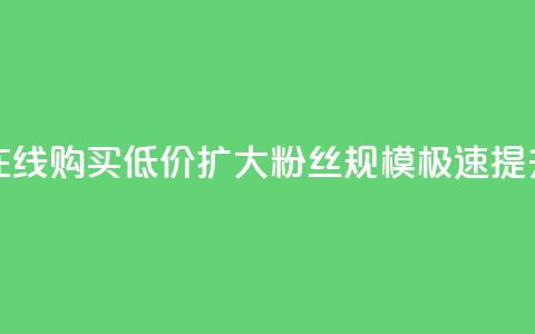 3元一万粉快手在线购买  低价扩大粉丝规模 极速提升影响力 第1张