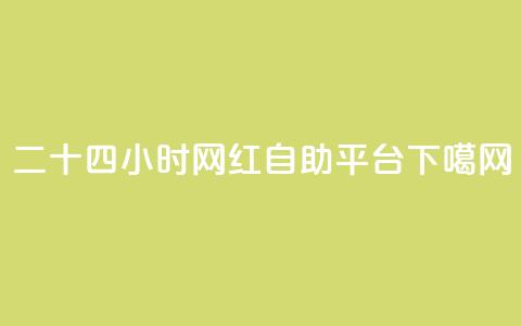 二十四小时网红自助平台  第1张