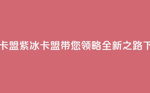 紫冰卡盟 - 紫冰卡盟带您领略全新SEO之路!  第1张