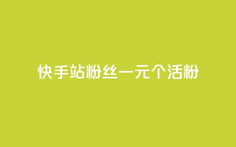 快手b站粉丝一元1000个活粉,快手平台业务网站 - 快手赞粉丝24小时领取 快手b站粉丝一元1000个活粉  第1张