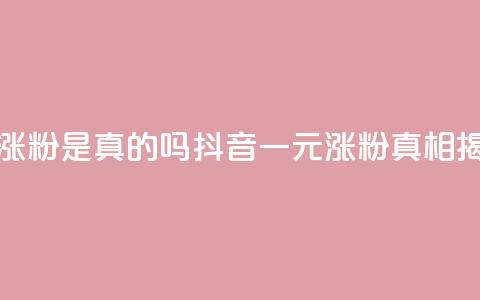 抖音一元涨粉是真的吗 - 抖音一元涨粉真相揭秘！  第1张