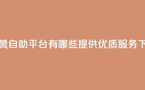 快手赞自助平台有哪些，提供优质服务！  第1张
