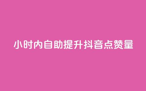 24小时内自助提升抖音点赞量  第1张