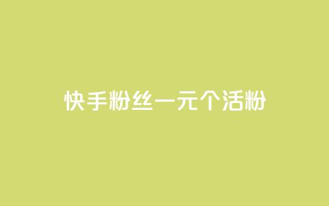 快手粉丝一元1000个活粉 - 获取1000个快手活粉只需1元！  第1张