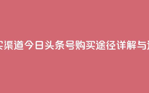 今日头条号购买渠道 - 今日头条号购买途径详解与选择指南~  第1张