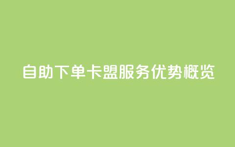 自助下单卡盟服务优势概览  第1张