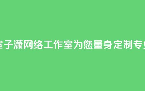 子潇网络工作室 - 子潇网络工作室：为您量身定制专业的SEO服务~  第1张