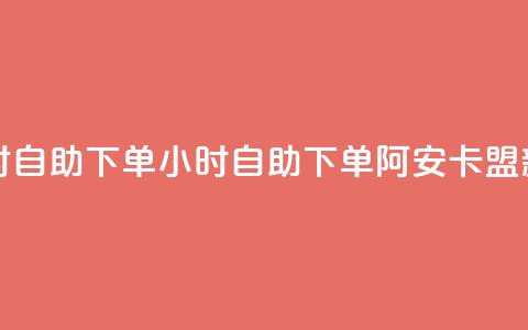 阿安卡盟24小时自助下单 - 24小时自助下单！阿安卡盟新体验！~  第1张