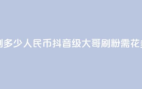 抖音75级大哥需要刷多少人民币(抖音75级大哥刷粉需花多少人民币？)  第1张