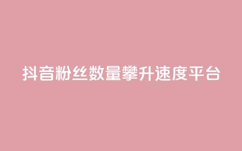 抖音粉丝数量攀升速度平台  第1张