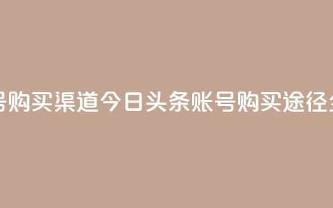 今日头条账号购买渠道 - 今日头条账号购买途径全解析!  第1张