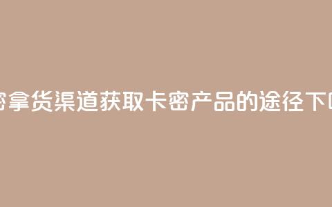 卡密拿货渠道 - 获取卡密产品的途径!  第1张