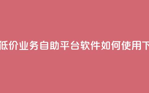 快手低价业务自助平台软件如何使用  第1张