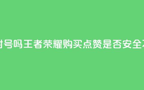王者荣耀买赞不会封号吗 - 王者荣耀购买点赞是否安全不会被封号吗!  第1张