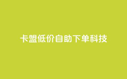 卡盟低价自助下单科技 - 卡盟提供便捷低价自助下单服务~  第1张
