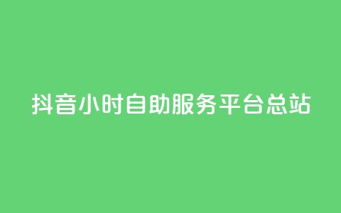 抖音24小时自助服务平台总站 - 抖音24小时自助服务平台全新上线!  第1张