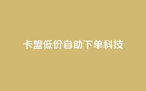 卡盟低价自助下单科技 - 卡盟提供便捷低价自助下单服务~  第1张