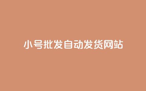 dy小号批发自动发货网站,ks小号发卡平台 - ks业务自助下单软件最低价 卡盟交易平台  第1张