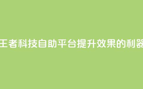 王者科技自助平台：提升SEO效果的利器  第1张