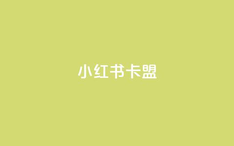 小红书卡盟 - 小红书卡盟：深入解析这一社交电商平台的隐藏商机~  第1张
