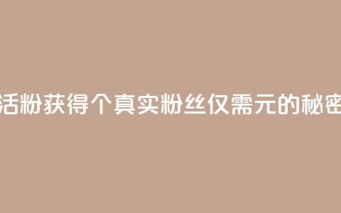 粉丝一元1000个活粉 - 获得1000个真实粉丝仅需1元的秘密揭秘!  第1张