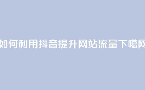 如何利用抖音提升网站流量  第1张