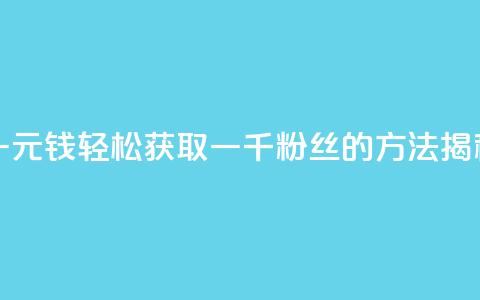 一元钱轻松获取一千粉丝的方法揭秘  第1张