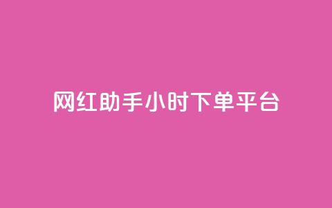 网红助手24小时下单平台 - 全天24小时下单，轻松掌握的网红助手平台!  第1张