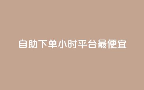 自助下单24小时平台最便宜,ks24小时业务自助下单网站 - ks一元1000个赞秒到软件 24小时下单平台最低价抖  第1张