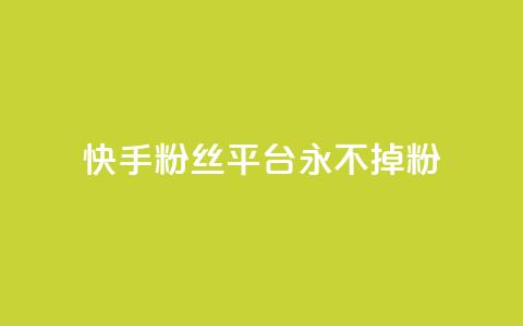 快手粉丝平台+永不掉粉,抖音业务低价自助平台超低价 - 评论点赞业务 自助平台  第1张