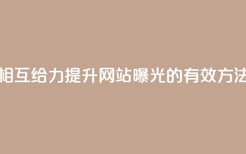 相互给力：提升网站曝光的有效方法  第1张