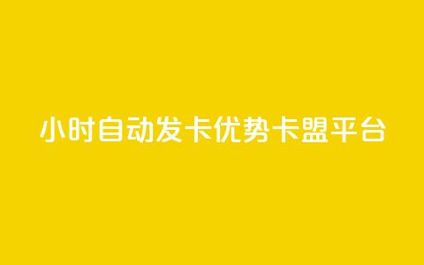 24小时自动发卡，优势pubg卡盟平台  第1张