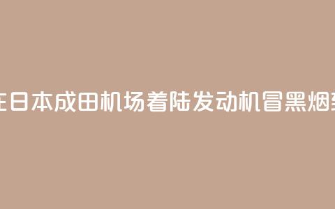 新航波音客机在日本成田机场着陆 发动机冒黑烟致跑道一度关闭  第1张
