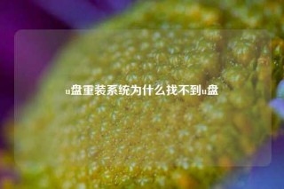 u盘重装系统为什么找不到u盘
