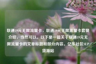 联通19元无限流量卡，联通19元无限流量卡套餐介绍，当然可以。以下是一篇关于联通19元无限流量卡的文章标题和部分内容。亿乐社区SUP货源站