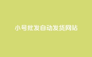 dy小号批发自动发货网站,ks小号发卡平台 - ks业务自助下单软件最低价 - 卡盟交易平台
