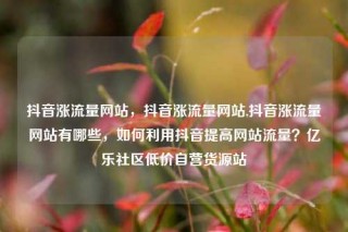 抖音涨流量网站，抖音涨流量网站,抖音涨流量网站有哪些，如何利用抖音提高网站流量？亿乐社区低价自营货源站
