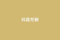 抖音充粉,ks低价下单平台业务 - 24h自助下单商城 - dy万粉