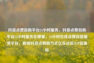 抖音点赞自助平台24小时服务，抖音点赞自助平台24小时服务在哪里，24小时在线点赞自助服务平台，解锁抖音点赞新方式亿乐社区SUP货源站