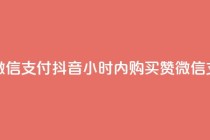 点赞24小时下单微信支付抖音 - 24小时内购买赞微信支付抖音!