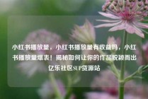 小红书播放量，小红书播放量有收益吗，小红书播放量爆表！揭秘如何让你的作品脱颖而出亿乐社区SUP货源站